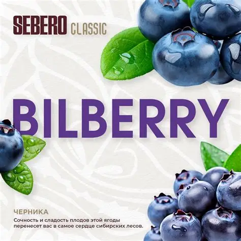 Sebero Bilberry (200gm)