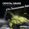 Darkside Crystal Grape (100g)