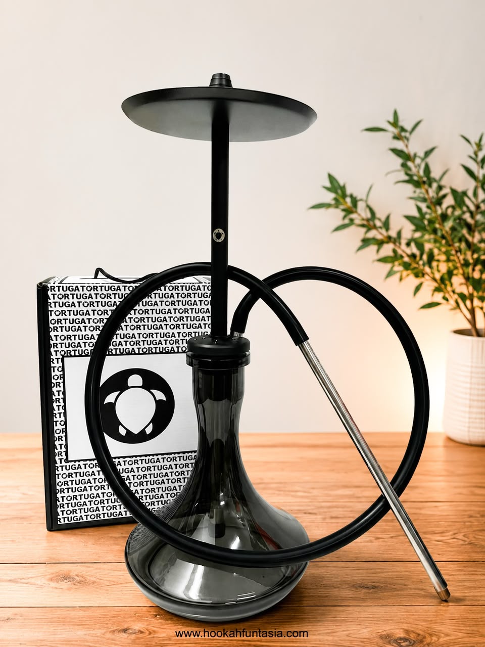 Tortuga Shisha - Image 2